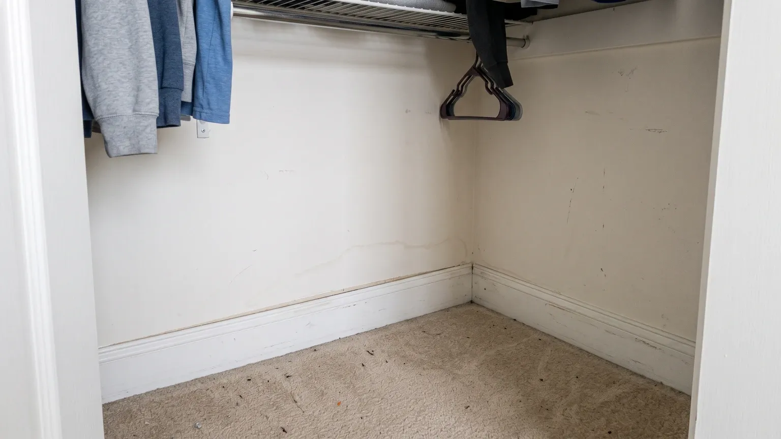 Closet corner where the baseboard has pulled slightly away from the wall, with a faint dried tide line on the wall paint above it