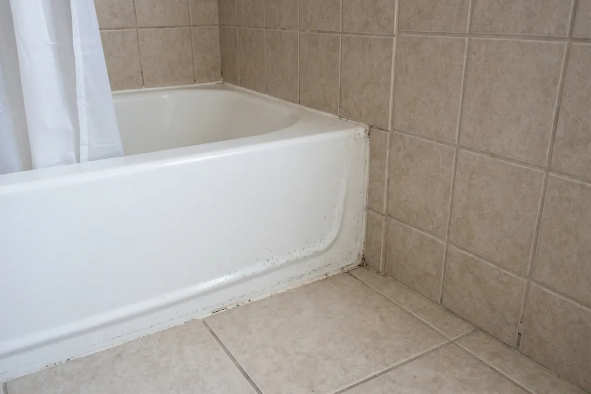 Phoenix home bathroom with faint grey mold spots on caulking at the base of a shower wall, ordinary tiles, available indoor light, mild early-stage condition.