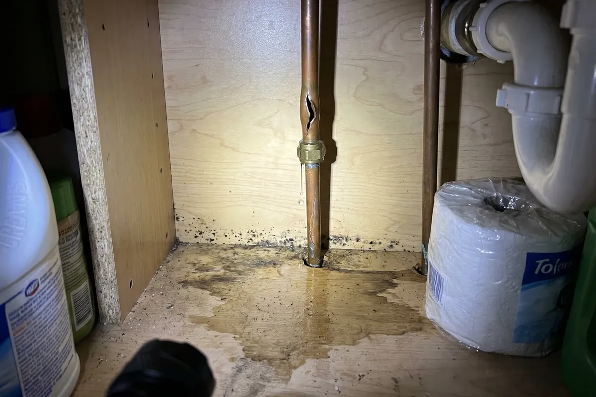 A burst copper supply line under a bathroom sink cabinet, water dripping from a fitting onto warped particleboard, the cabinet floor darkened with moisture and small dark mold spots visible along the seam, lit with a flashlight.