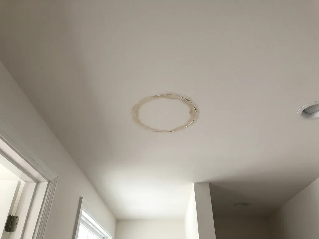 Irregular brown water stain on a white painted drywall ceiling in a residential hallway, paint slightly bubbling at the edges of the wet ring, overhead lighting