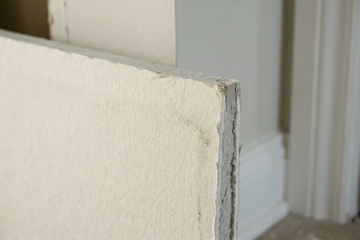 Close-up macro photo of a paper-faced drywall edge showing the layered paper texture and individual cellulose fibers, natural indoor light, documentary-style shot.