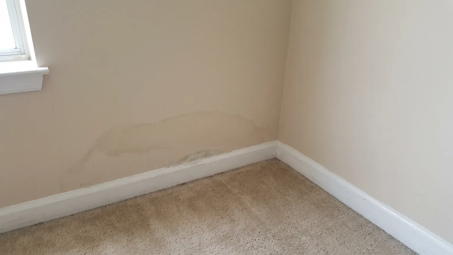 Corner of a modest Phoenix rental where beige painted drywall meets a white baseboard above carpet, with a faint tan tide-line water stain spreading along the wall