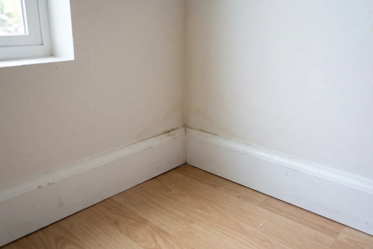 A faint, early light-brown water stain at the corner where a white baseboard meets a painted wall in an ordinary room, with light dark speckling along the top edge of the baseboard, a window at the upper left and laminate flooring below.