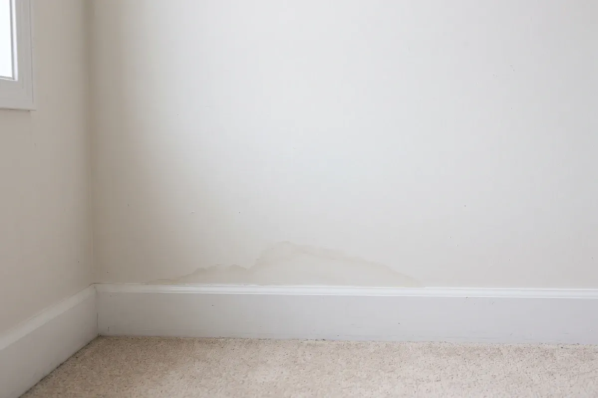 A faint tan water stain low on an interior drywall wall above the baseboard, with no visible mold growth