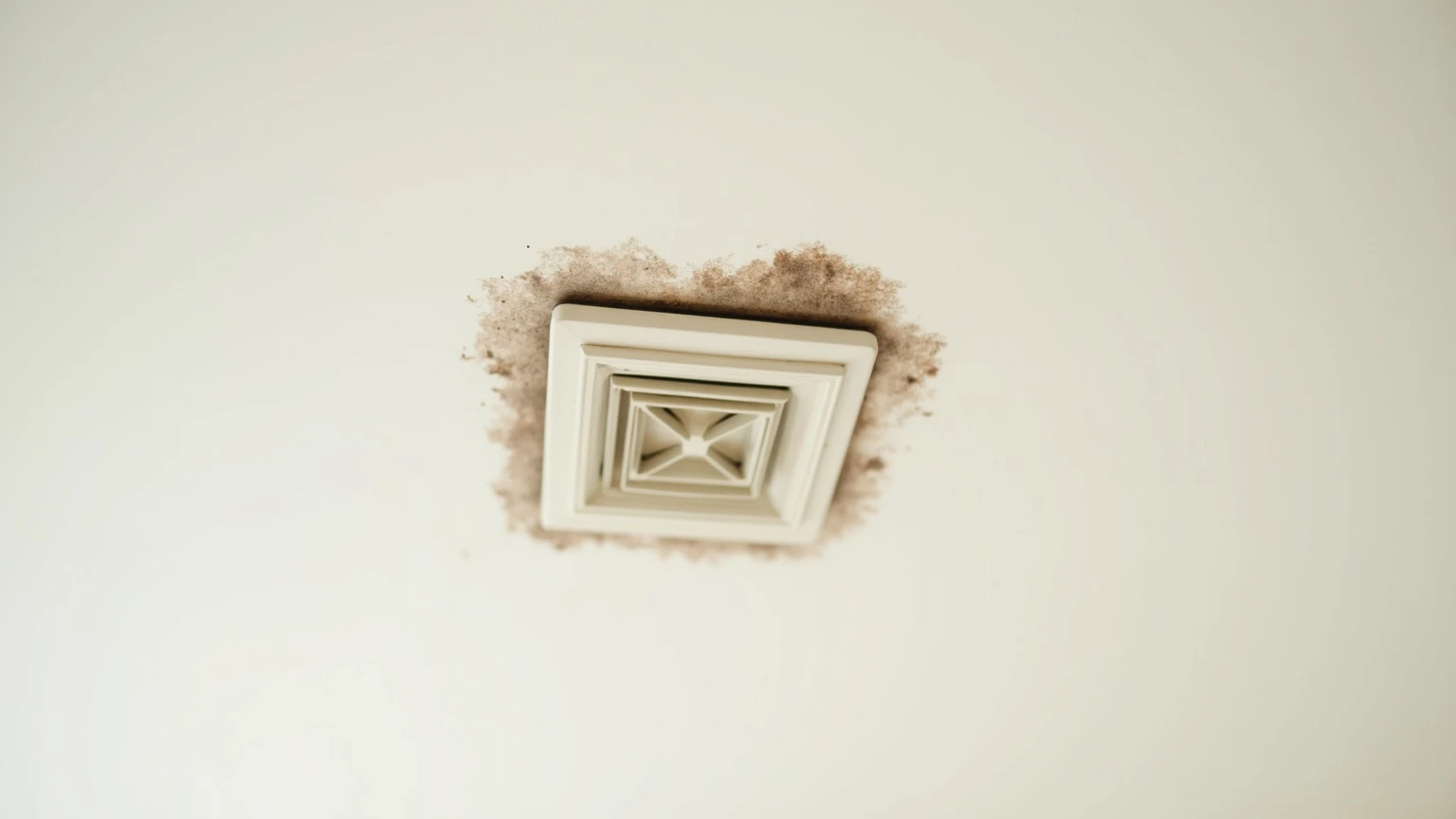 Ceiling Mold: Causes, Removal & When It's Serious
